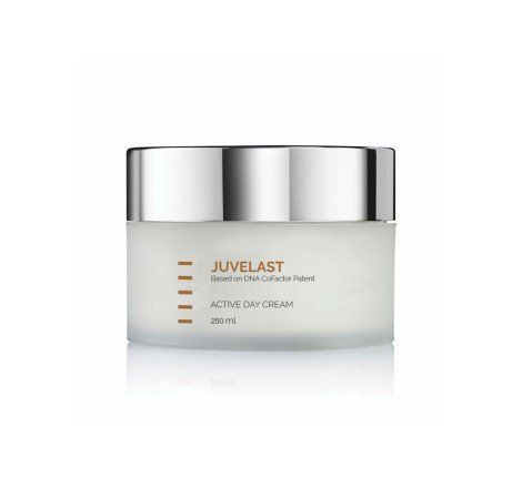 Активний денний крем для сухої шкіри обличчя Juvelast Active Day Cream Holy Land, 250 мл 2549 фото